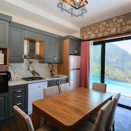 2 Bedroom Private With Infinity Pool And Sea View Willa Ölüdeniz
